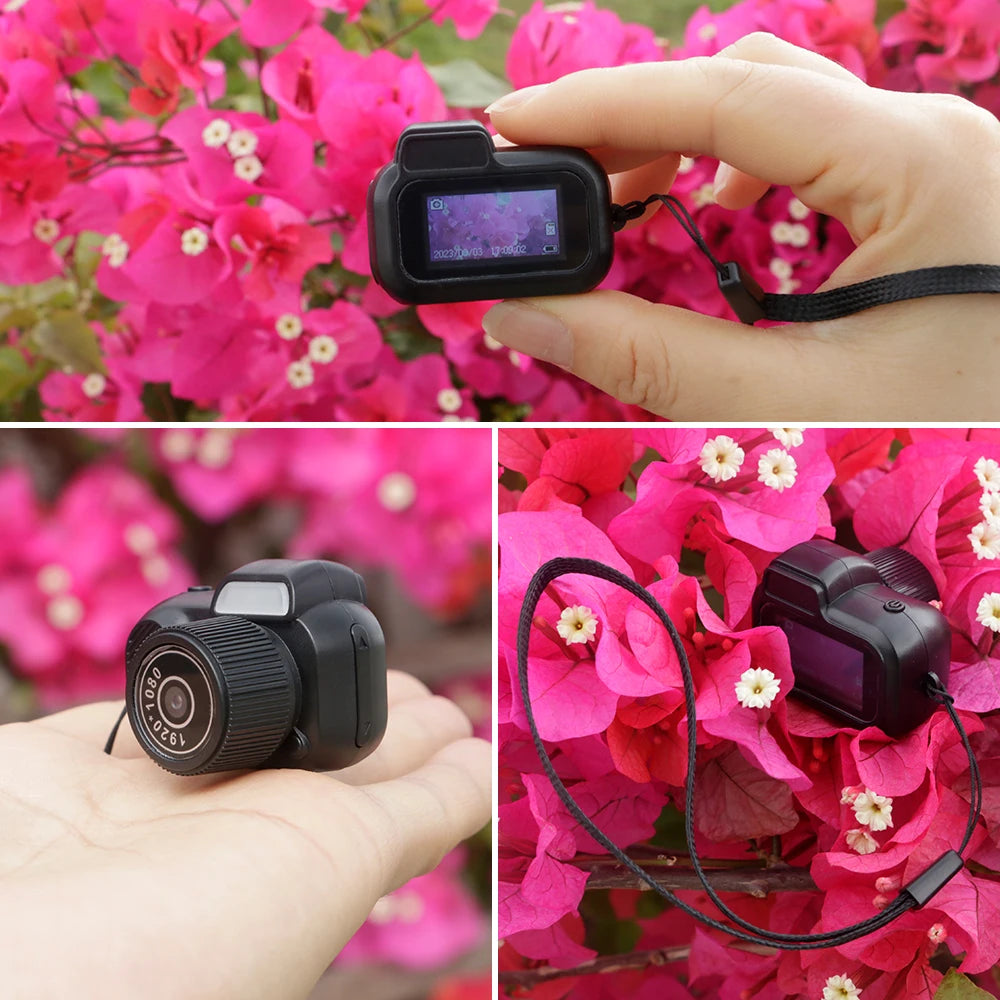 The Mini Cam